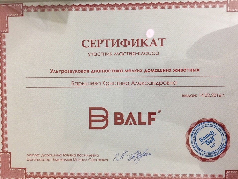 Документ или сертификат
