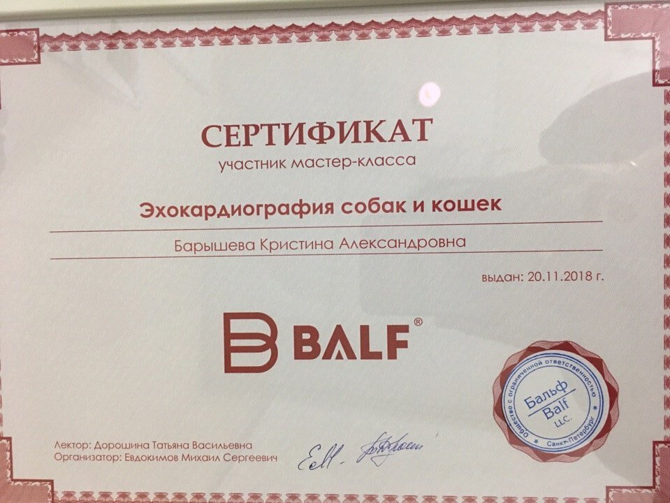 Документ или сертификат