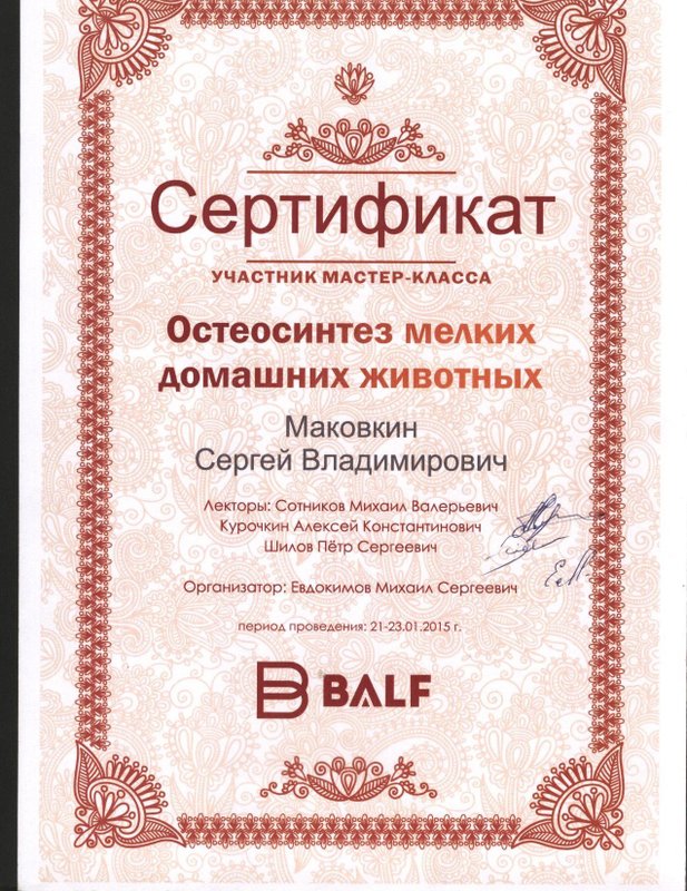 Документ или сертификат