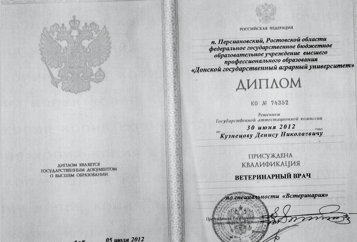 Документ или сертификат