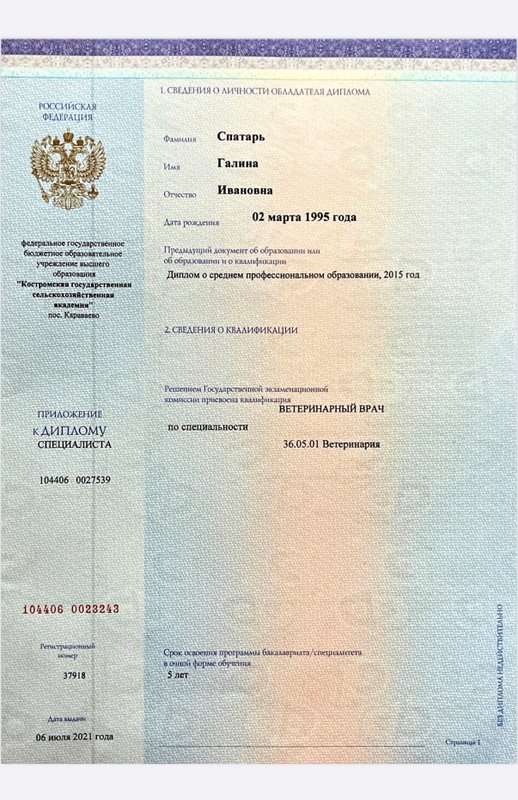 Документ или сертификат