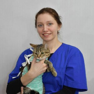Фото врача Новикова Анна Юрьевна