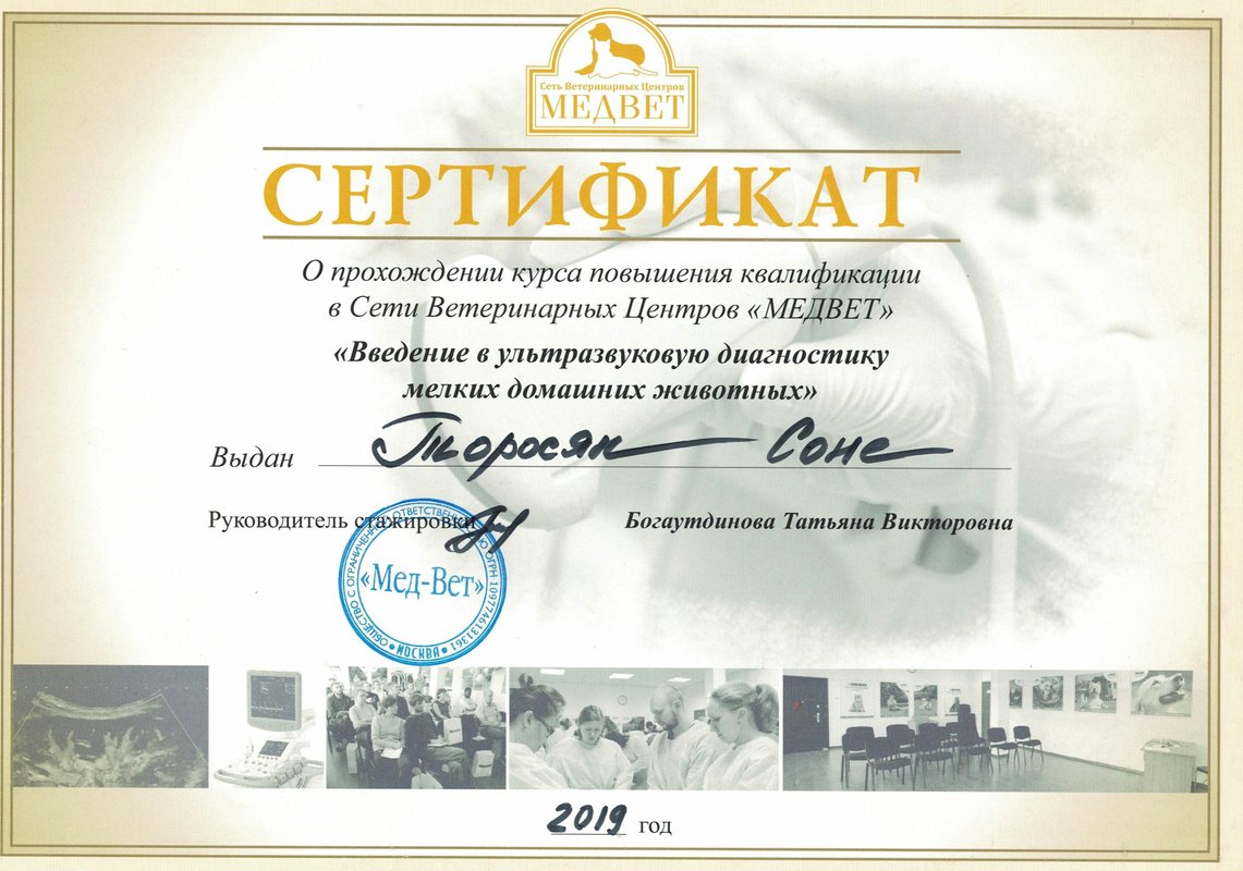 Документ или сертификат