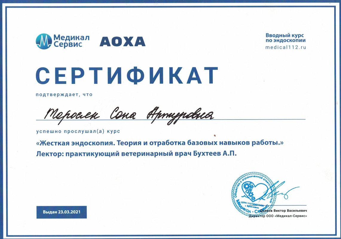 Документ или сертификат