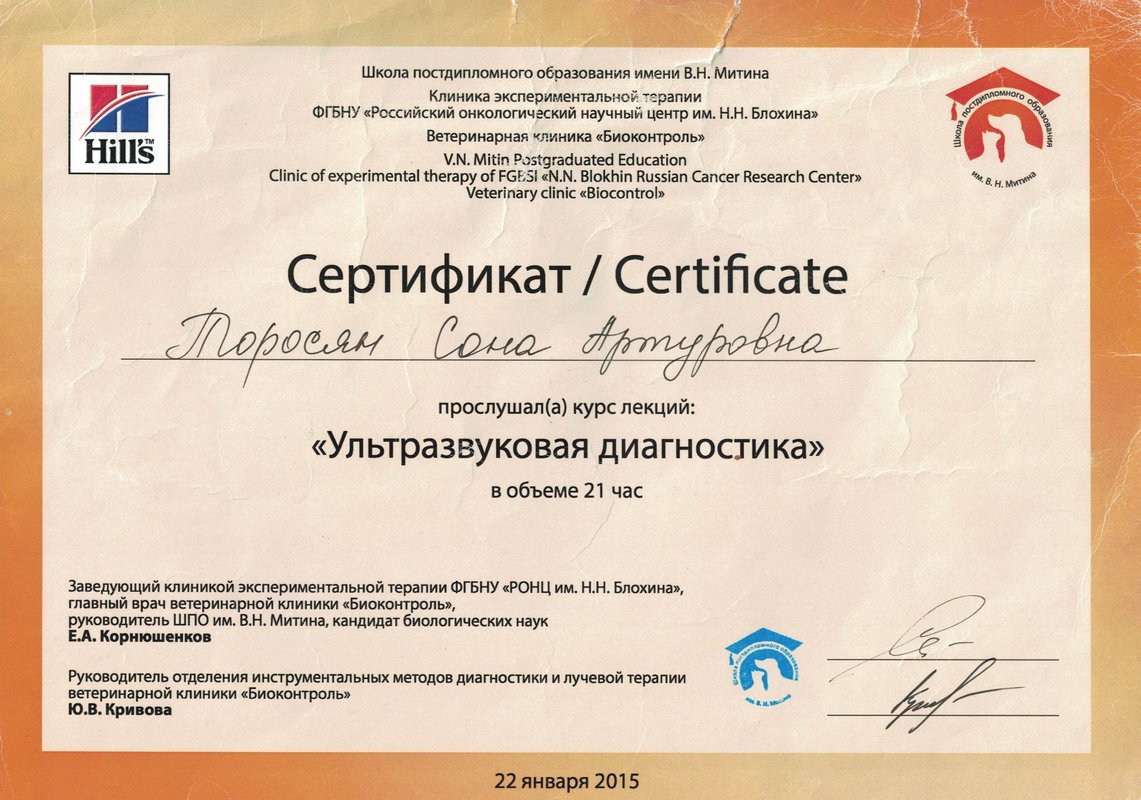 Документ или сертификат