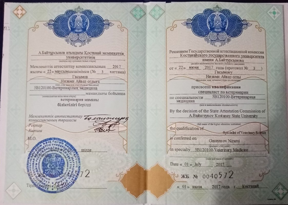 Документ или сертификат