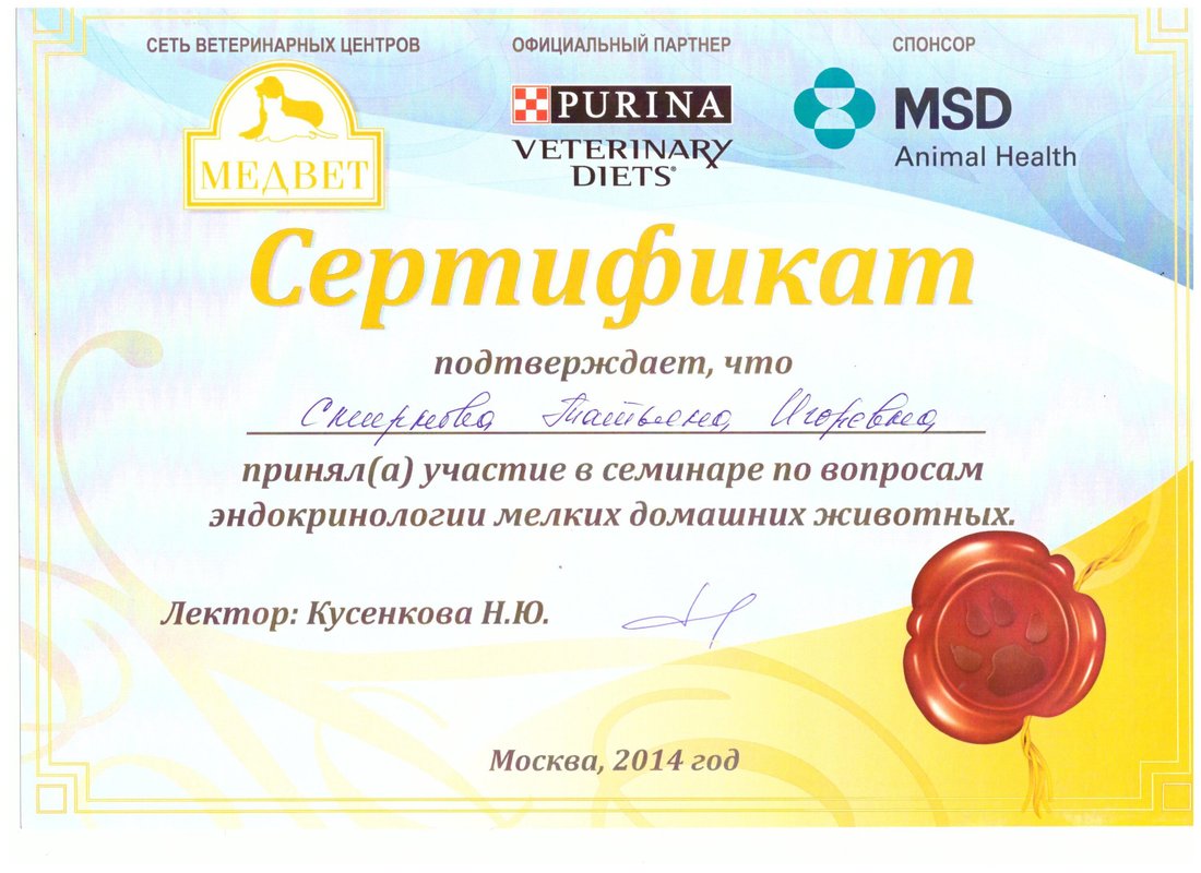 Документ или сертификат