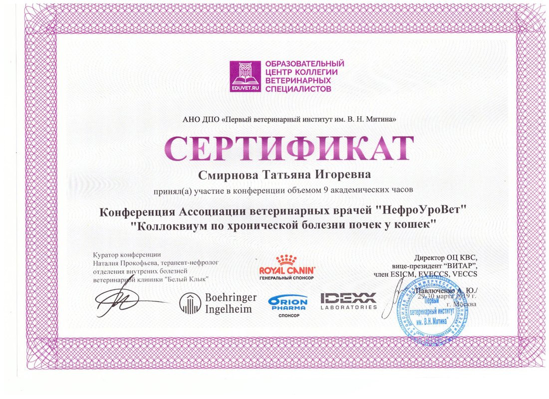 Документ или сертификат