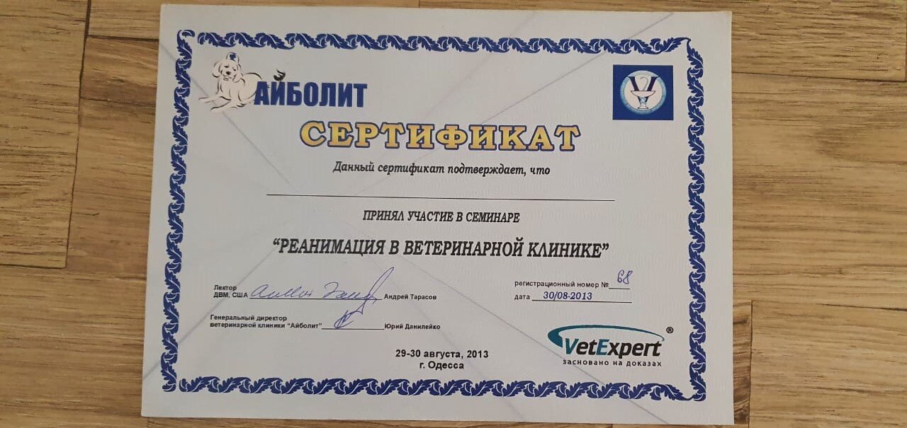 Документ или сертификат
