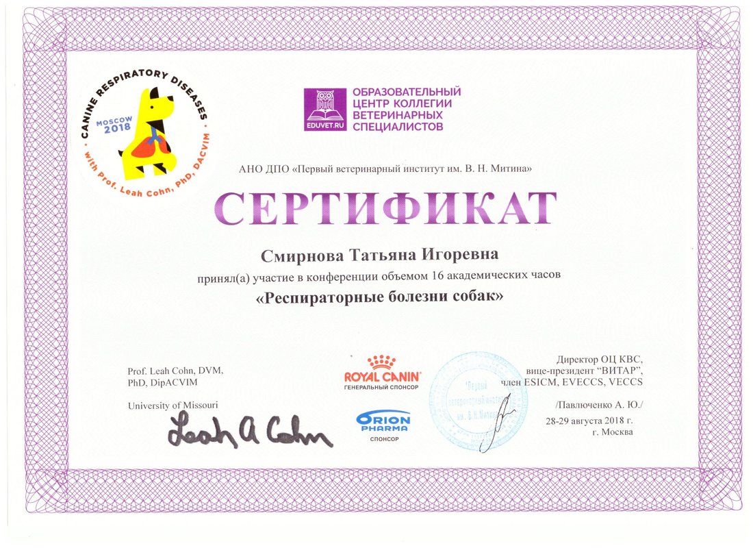 Документ или сертификат