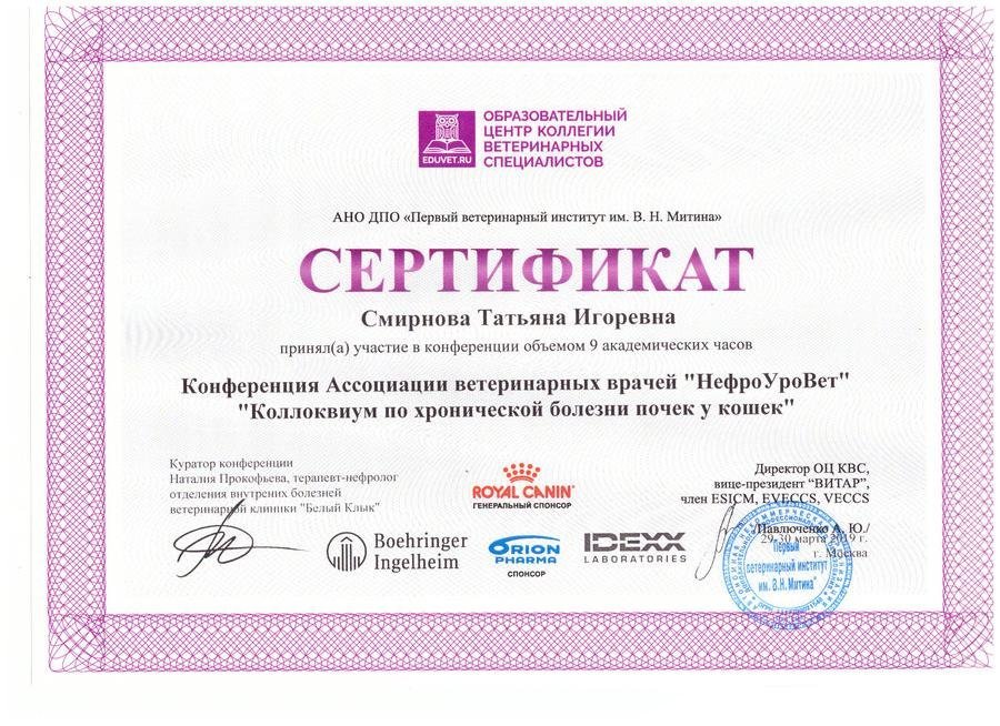 Документ или сертификат