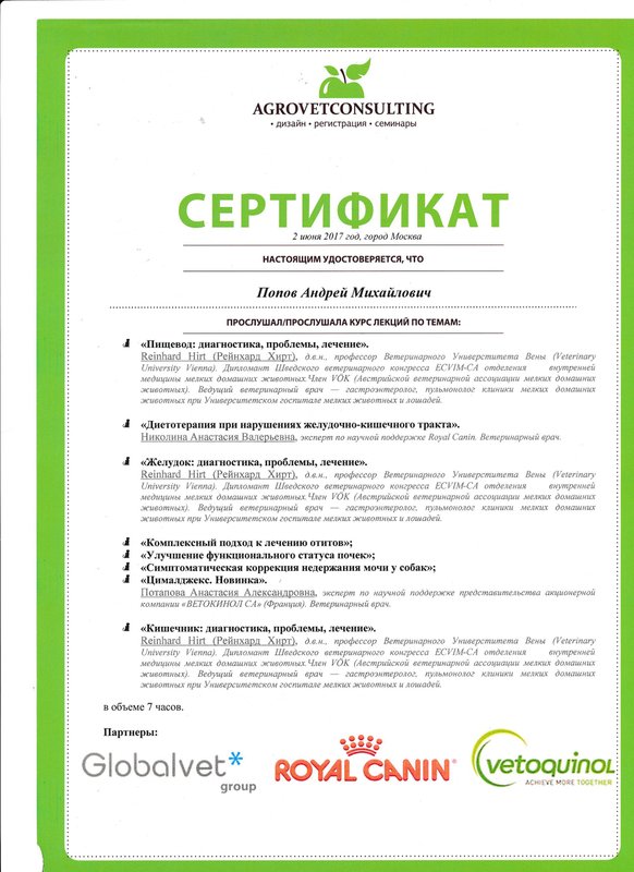 Документ или сертификат