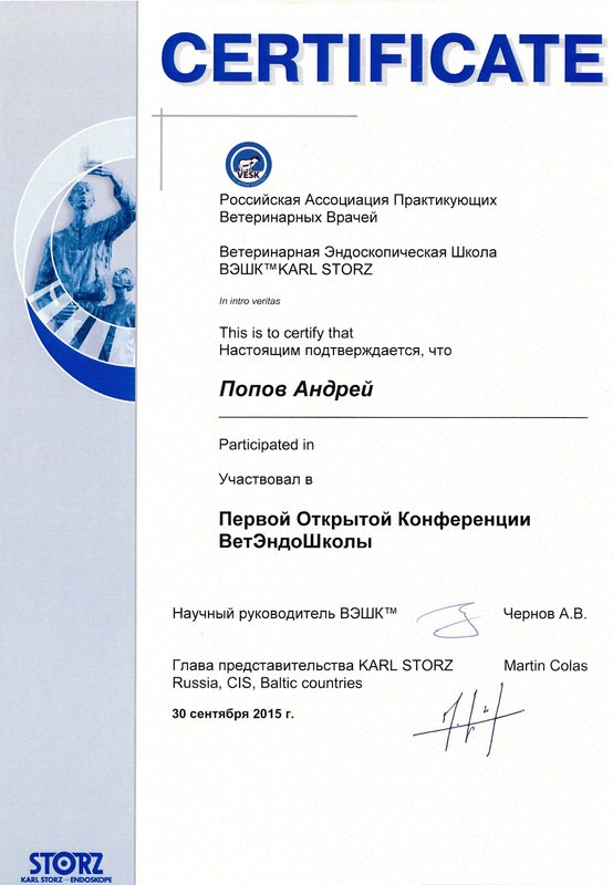 Документ или сертификат