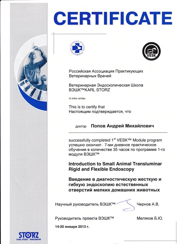 Документ или сертификат