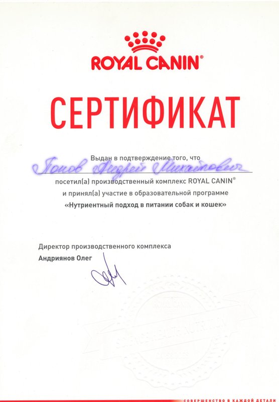 Документ или сертификат