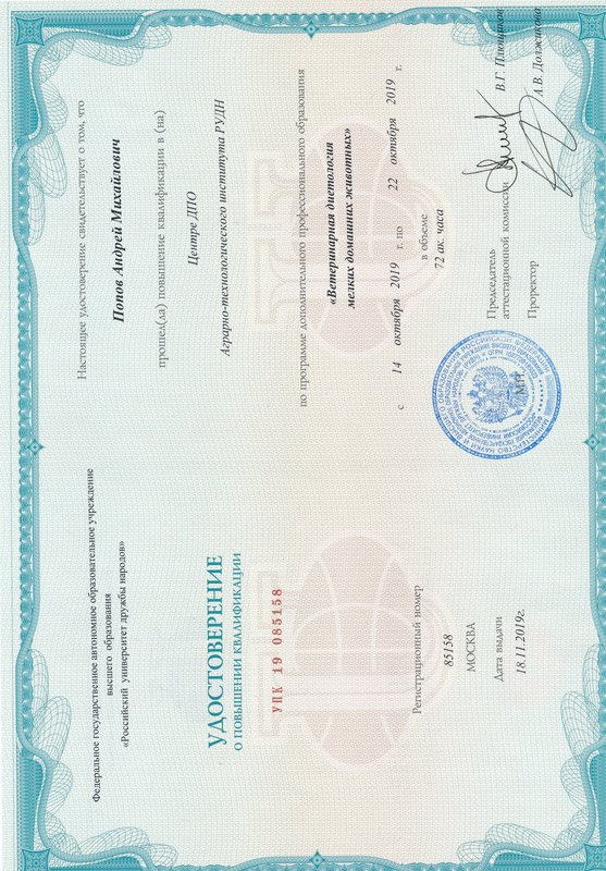 Документ или сертификат