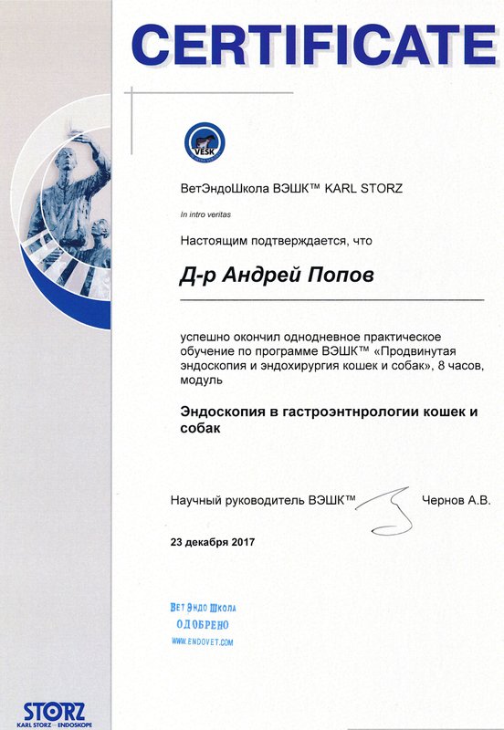 Документ или сертификат