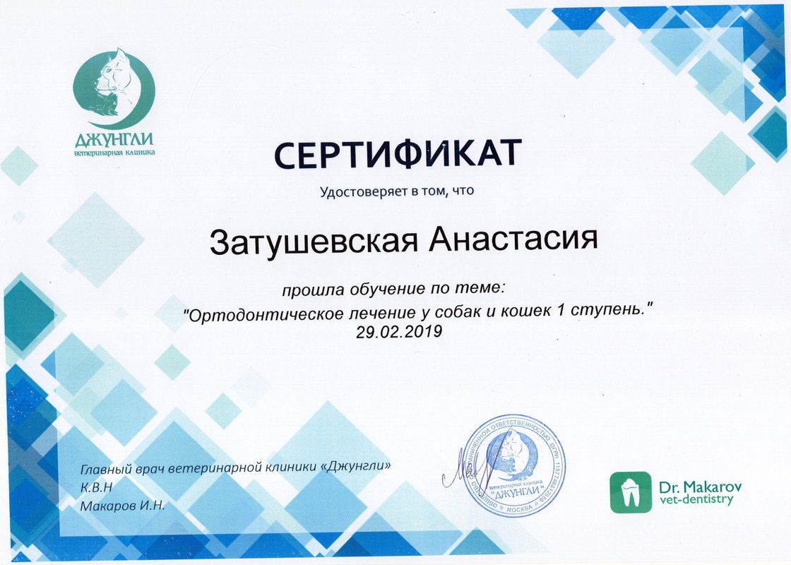 Документ или сертификат