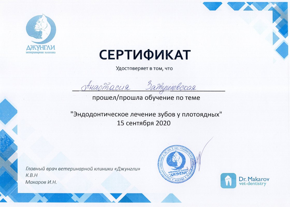 Документ или сертификат