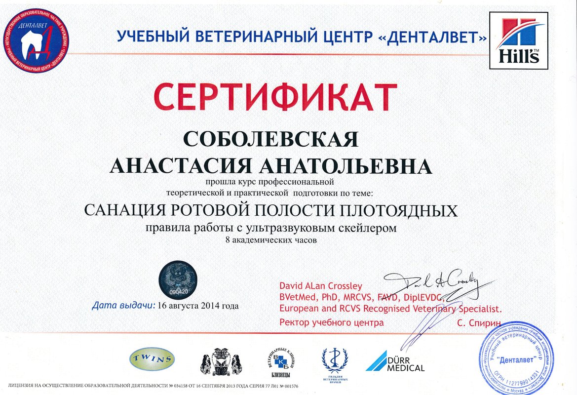 Документ или сертификат