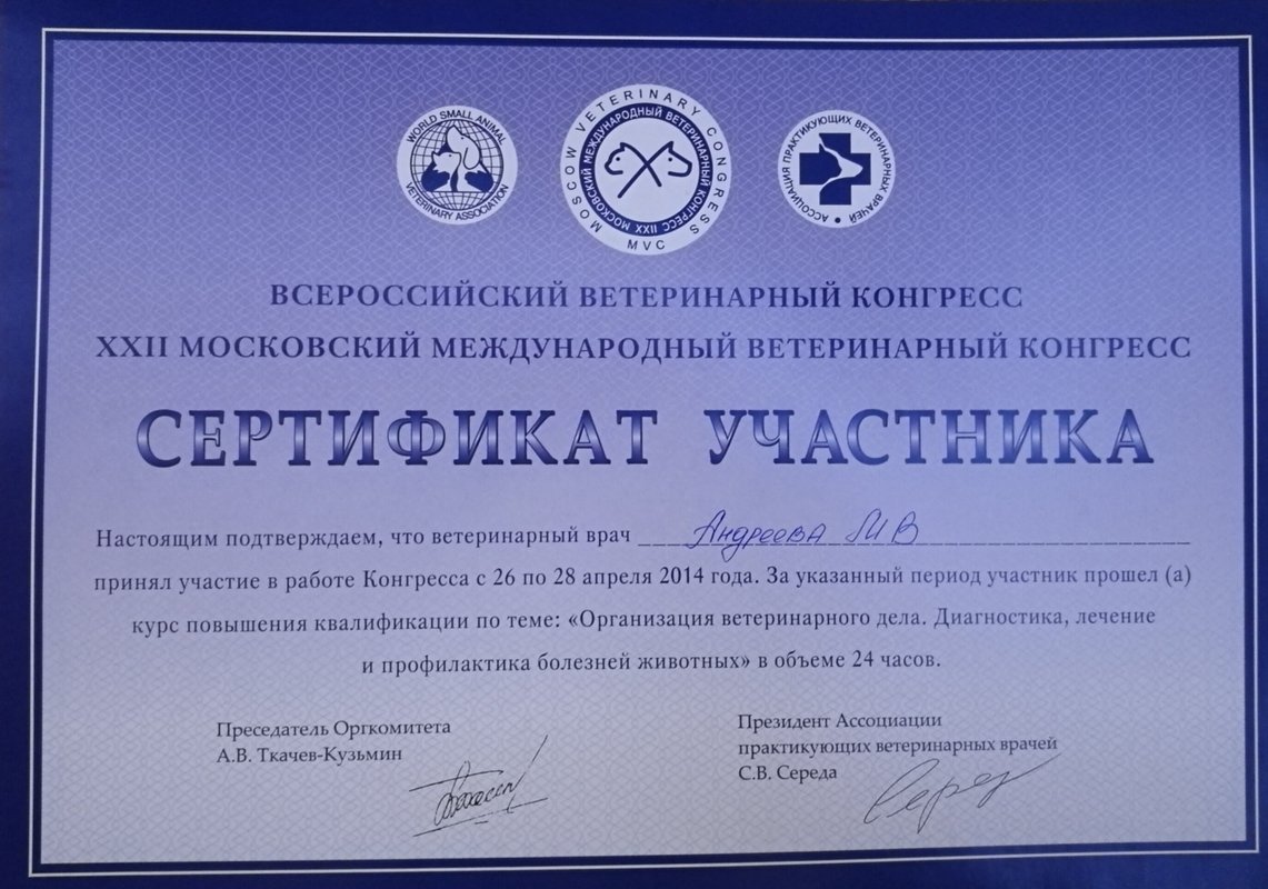 Документ или сертификат