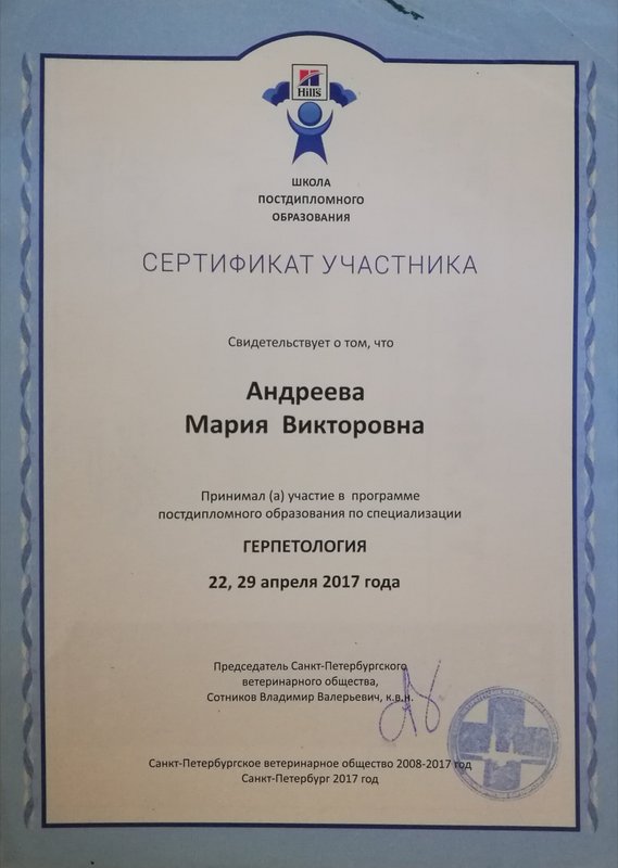 Документ или сертификат