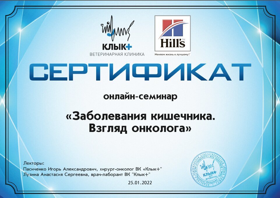 Документ или сертификат