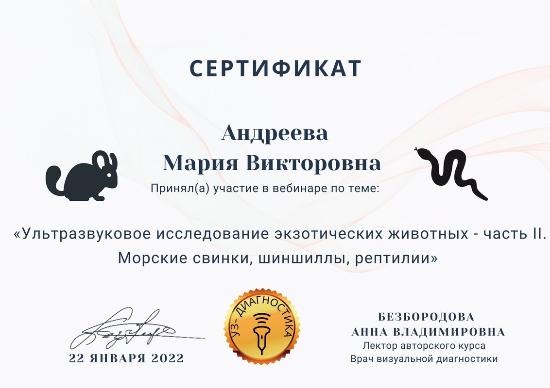 Документ или сертификат