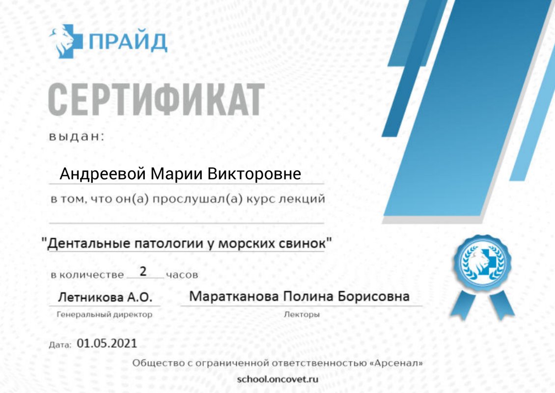 Документ или сертификат