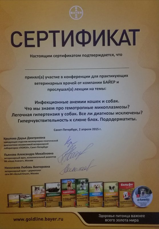 Документ или сертификат