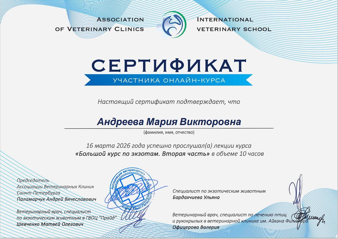Документ или сертификат