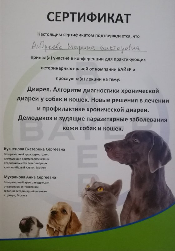 Документ или сертификат