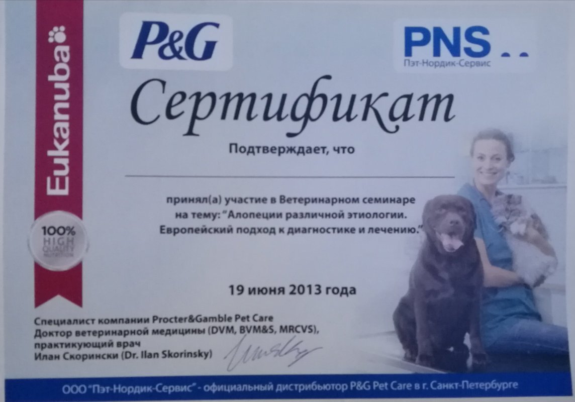 Документ или сертификат