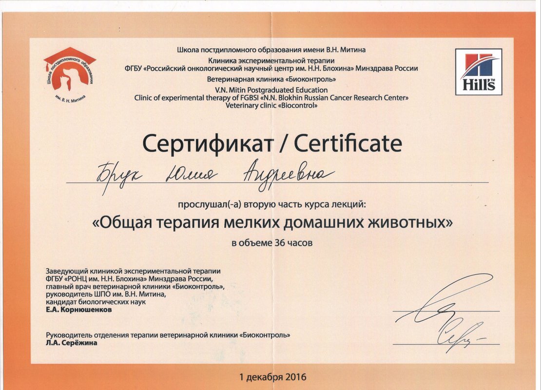 Документ или сертификат