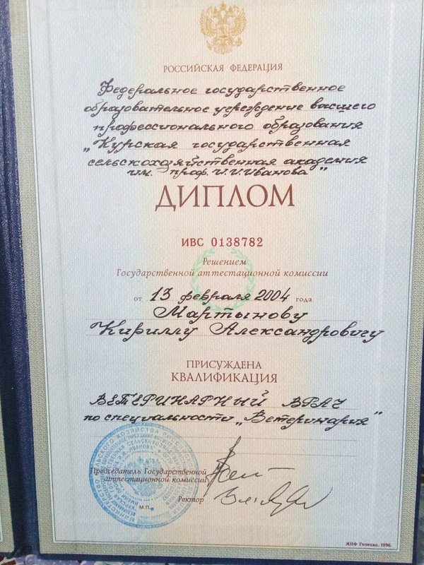 Документ или сертификат
