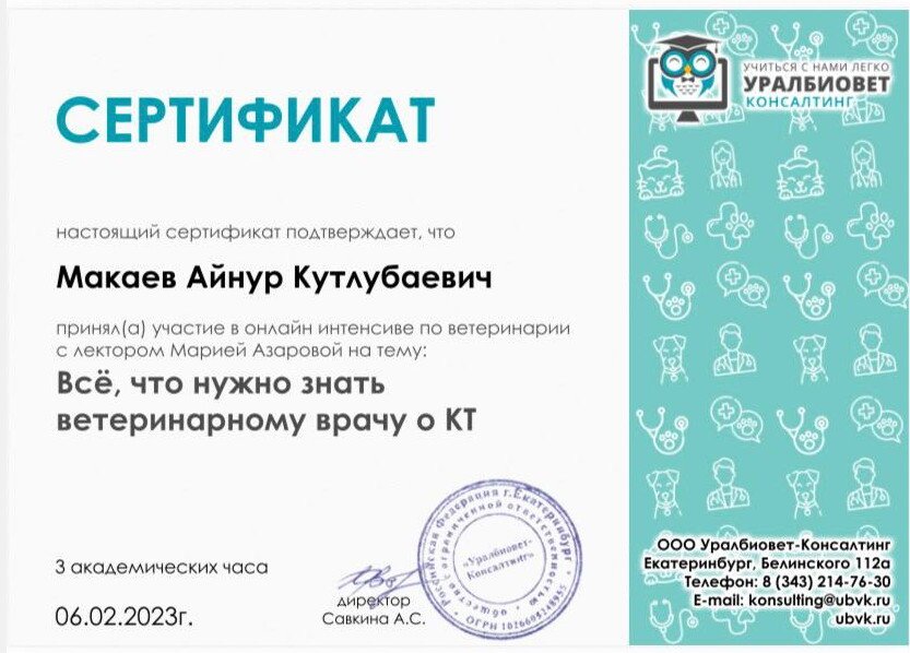 Документ или сертификат