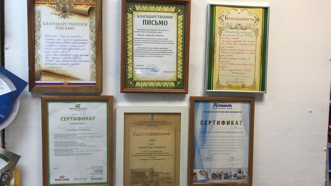 Фото врача