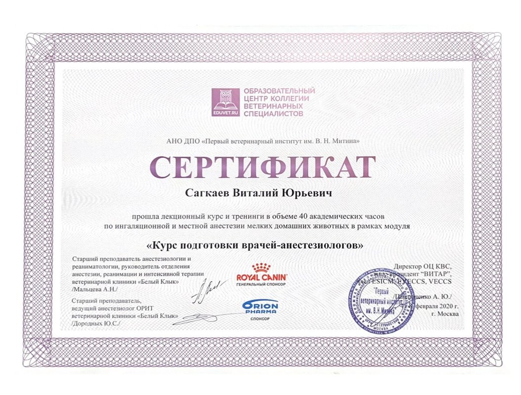 Документ или сертификат