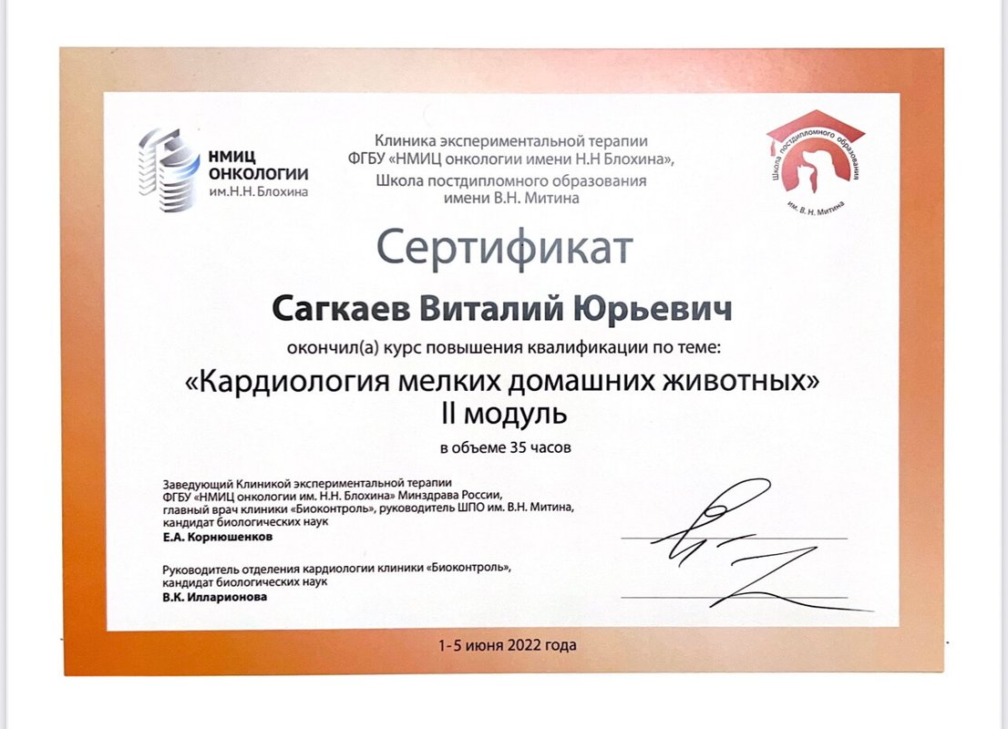 Документ или сертификат
