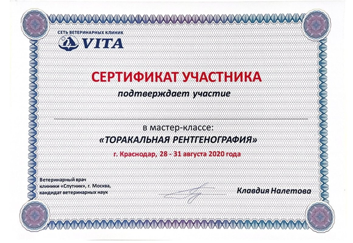 Документ или сертификат