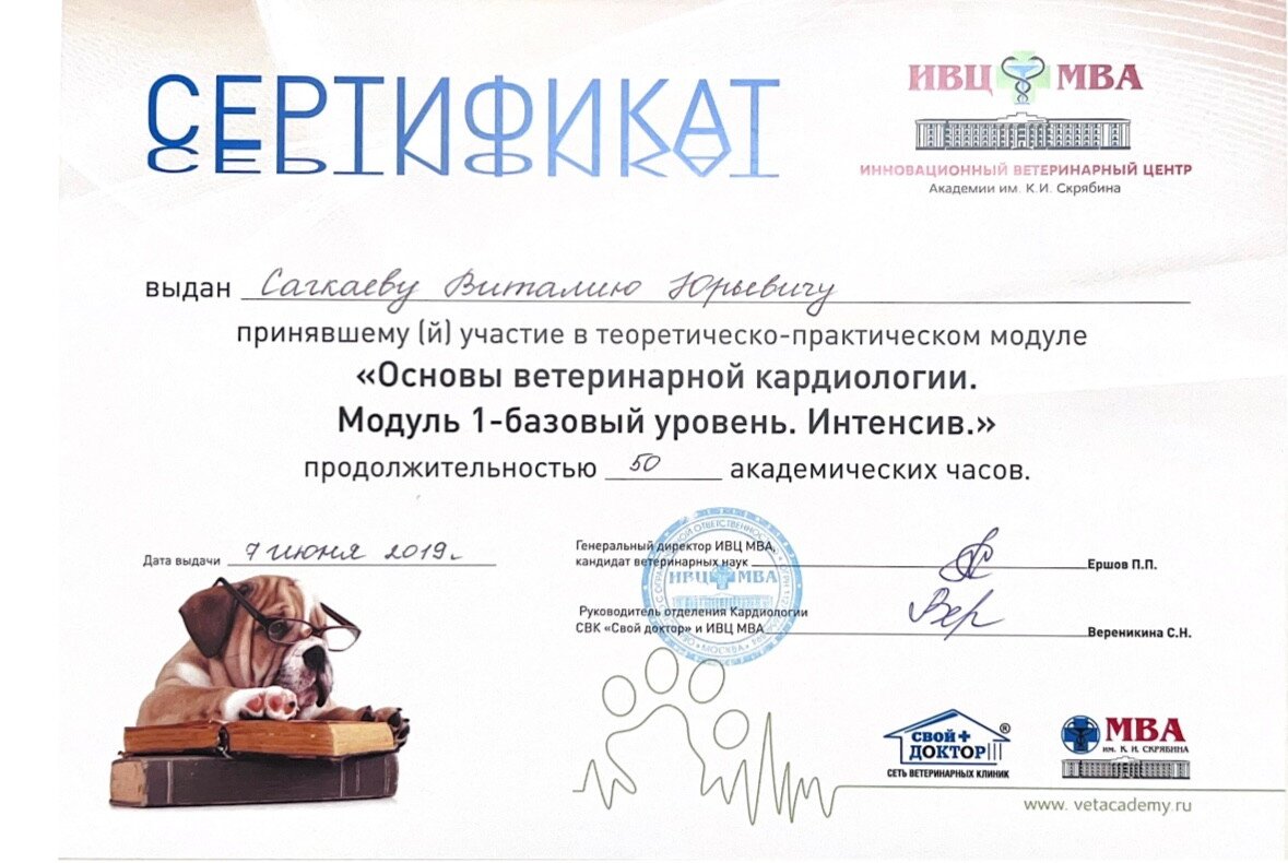 Документ или сертификат