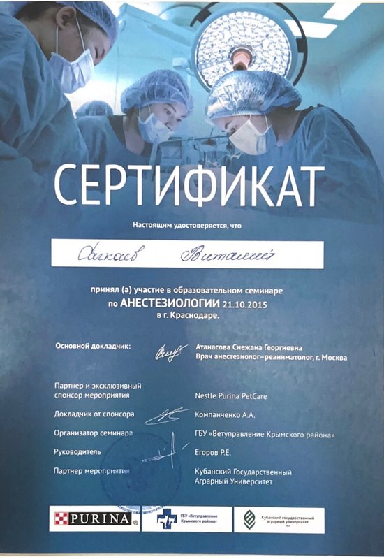 Документ или сертификат