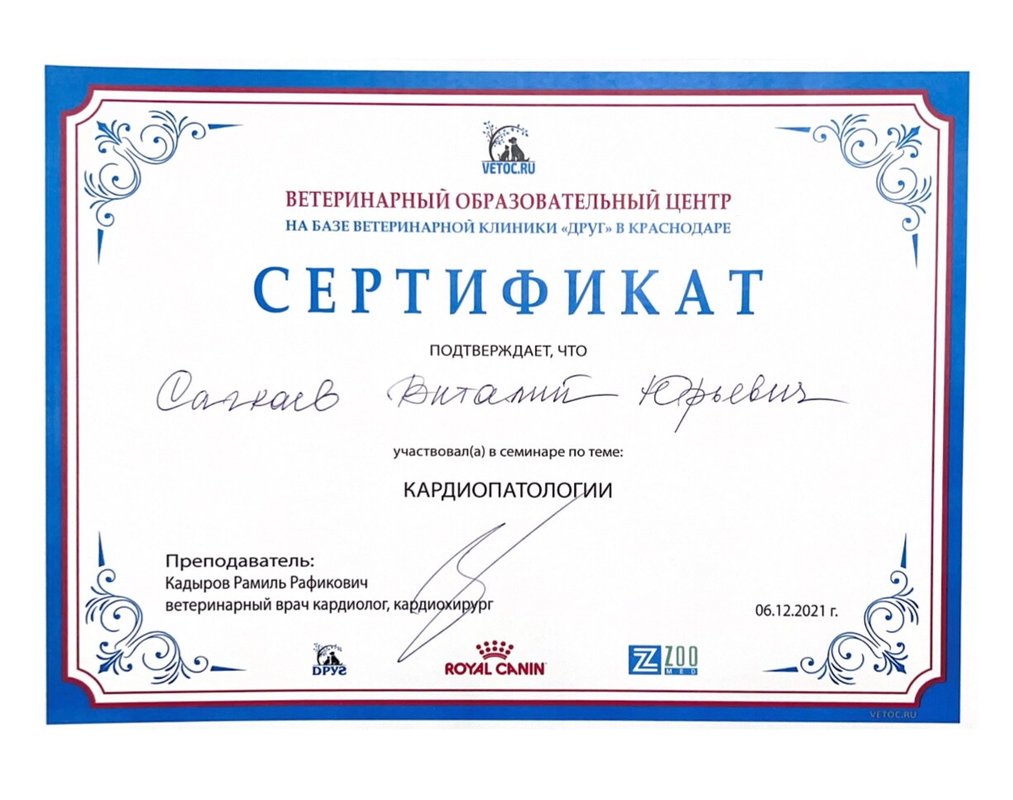 Документ или сертификат
