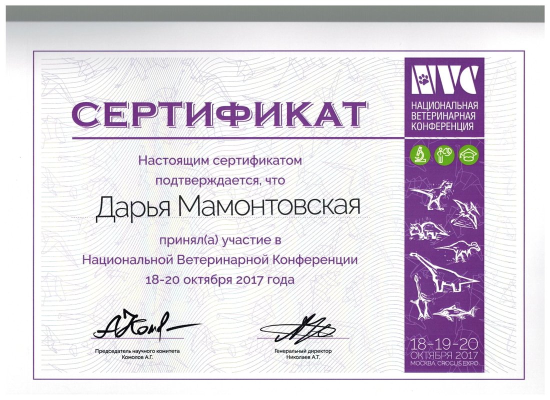 Документ или сертификат