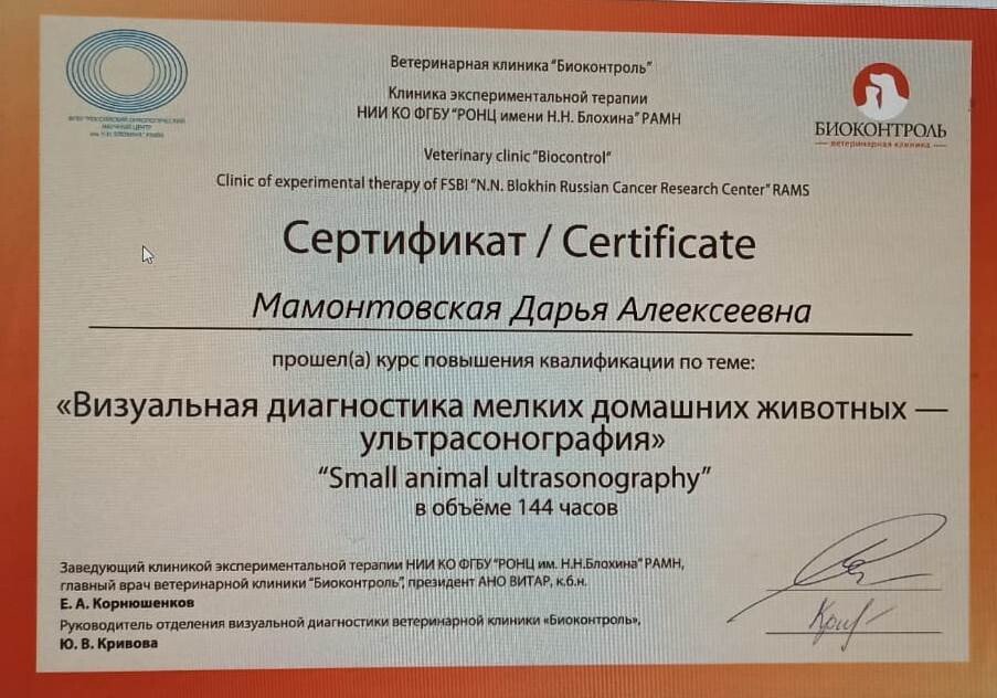 Документ или сертификат