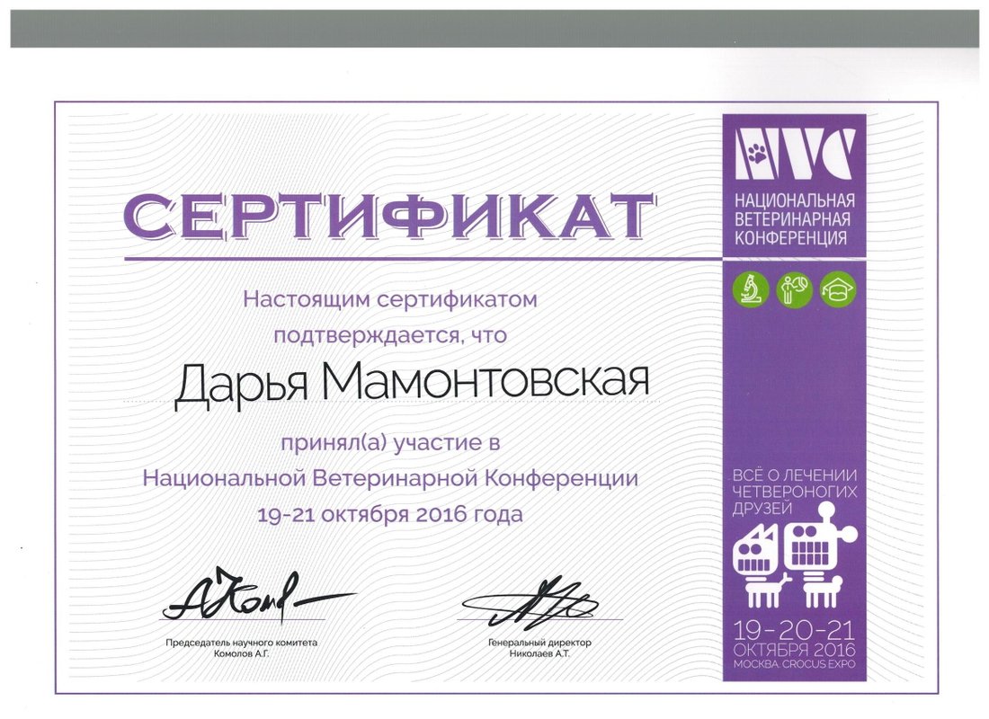 Документ или сертификат