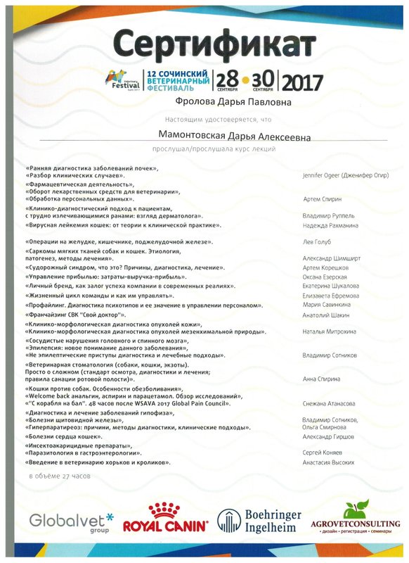 Документ или сертификат