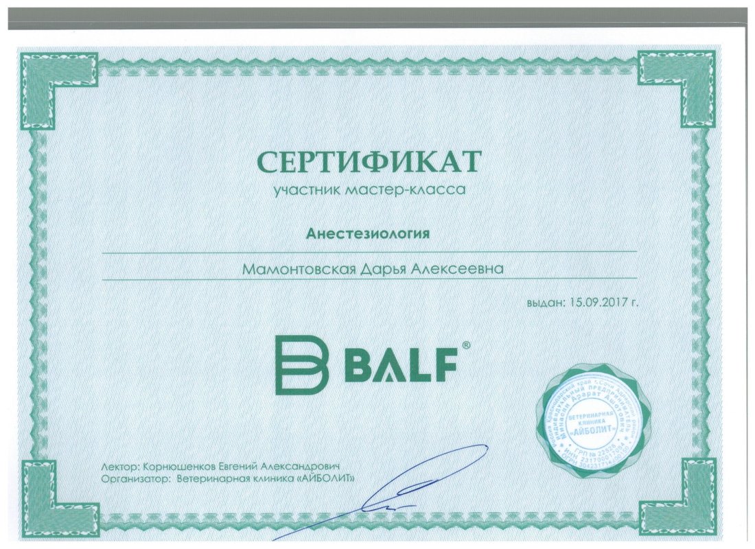 Документ или сертификат