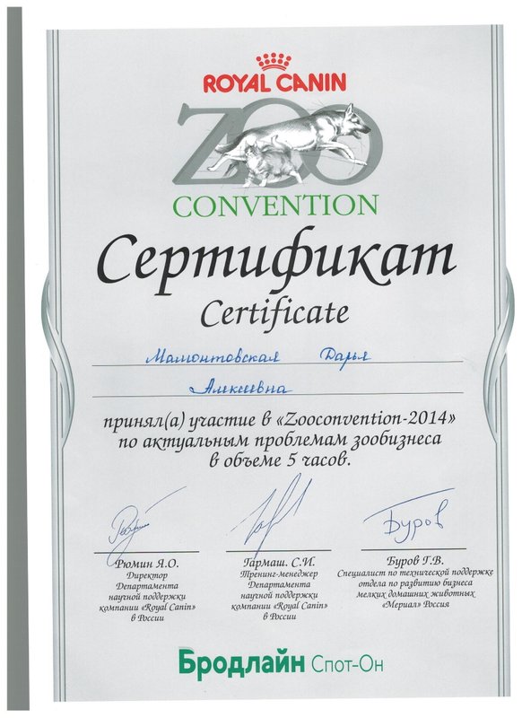 Документ или сертификат