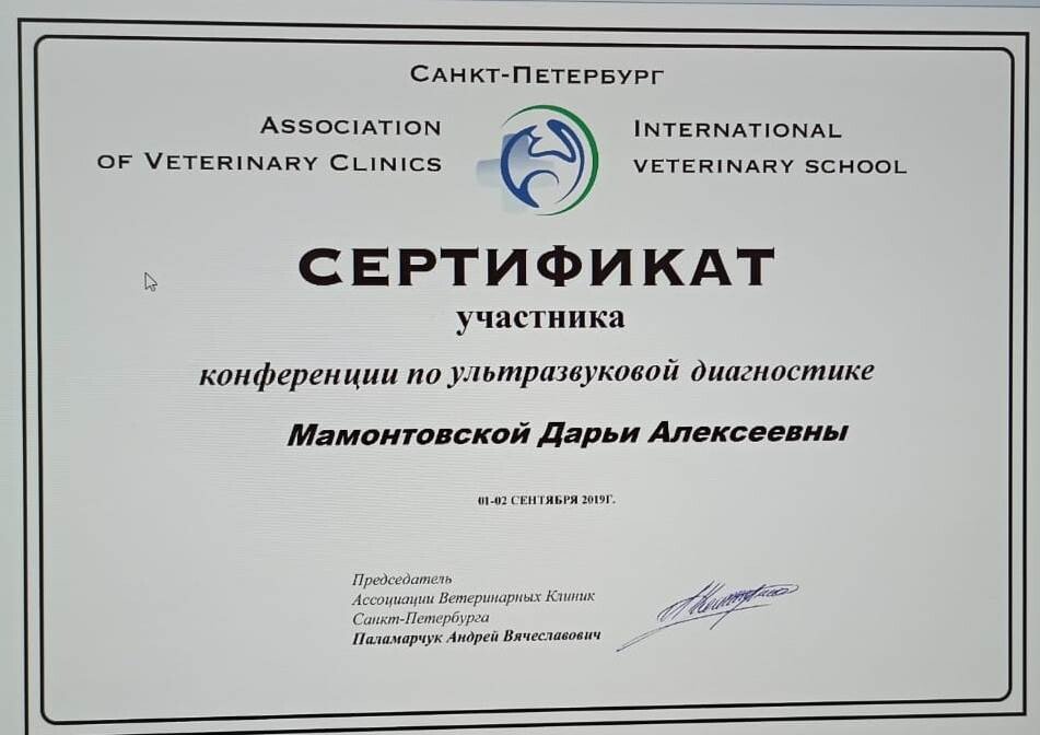 Документ или сертификат